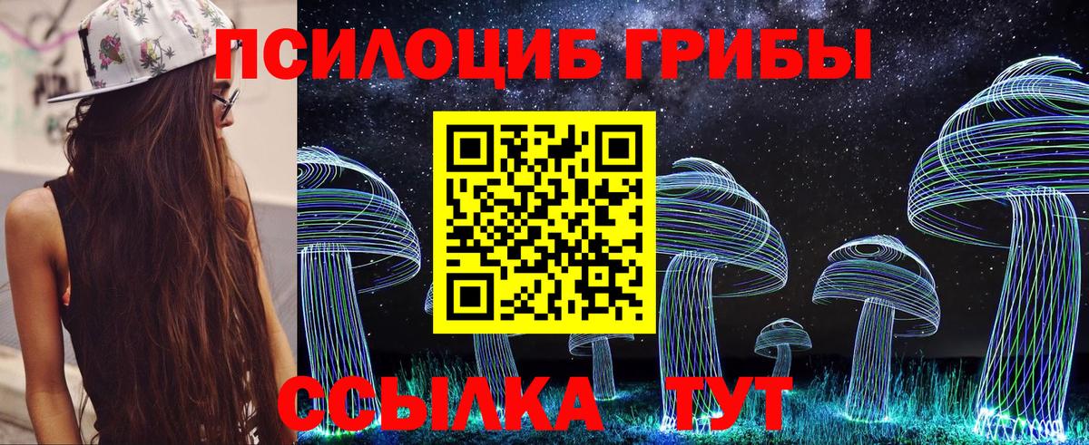 Галлюциногенные грибы мицелий Скопин