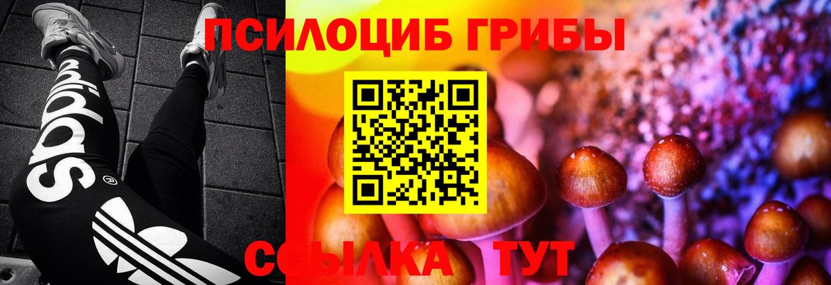 Скопин  Галлюциногенные грибы мицелий  Вход с VPN 